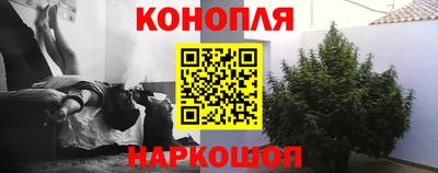 мяу мяу мука Малгобек