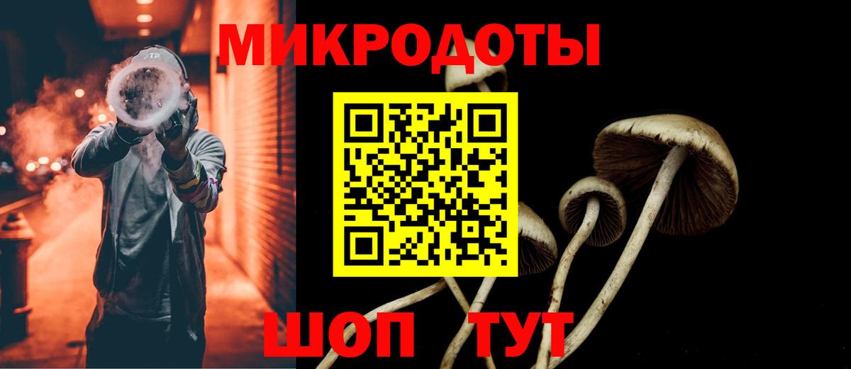 Псилоцибиновые грибы Psilocybe Шелехов
